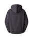 Sweat À Capuche Redbox Homme Noir Obsidien The North Face-3