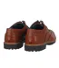Chaussures Webster Homme Marron Giorgio-2