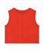 Native Spirit Womens/Ladies Faded Cropped Tank Top (Paprika Red)
