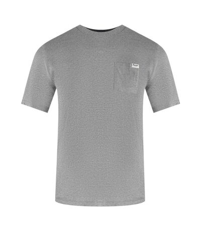 T-shirt Motif Logo Homme Gris Clair Aquascutum