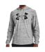 Sweat à capuche Gris Homme Under Armour Rival Terry - L