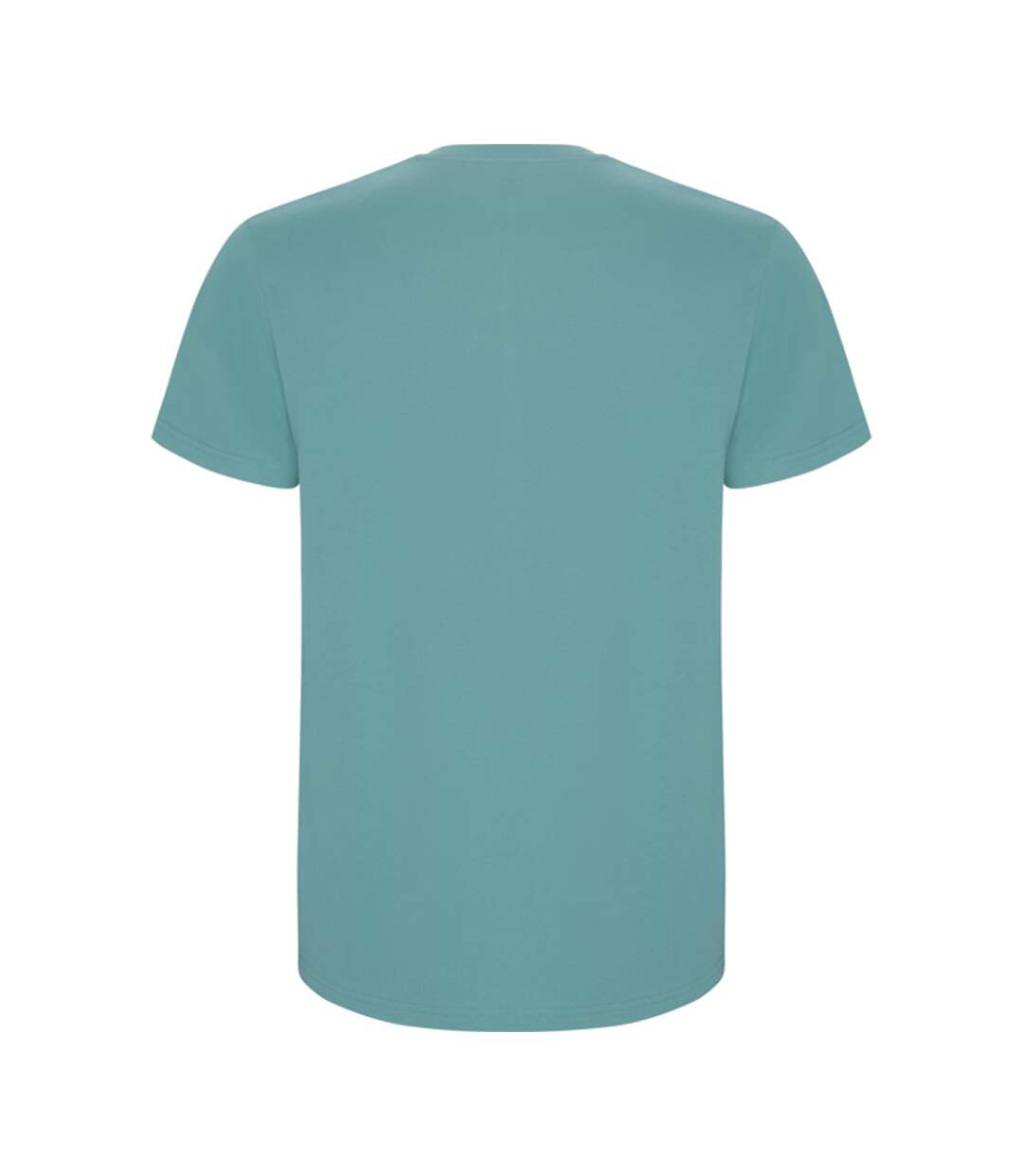T-shirt Stafford Homme Vieux Bleu Roly-2