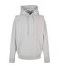 Sweat À Capuche Homme Gris Pâle Urban Classics-1