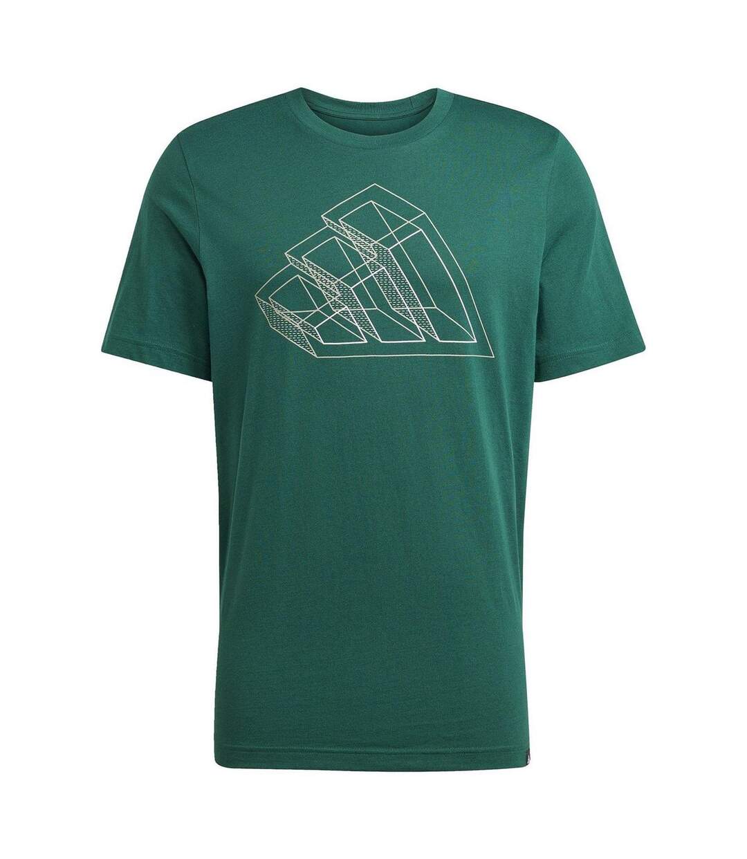 T-shirt Motif/style Imprimé Graphique Homme Vert Adidas-2
