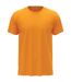 Unisex adults classic tee gold Stedman-1
