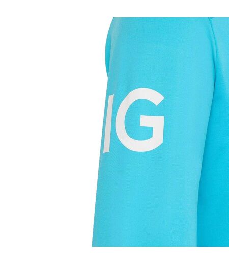 Pull Motif/style Cricket D´angleterre 26/27 Homme Bleu Turquoise Castore
