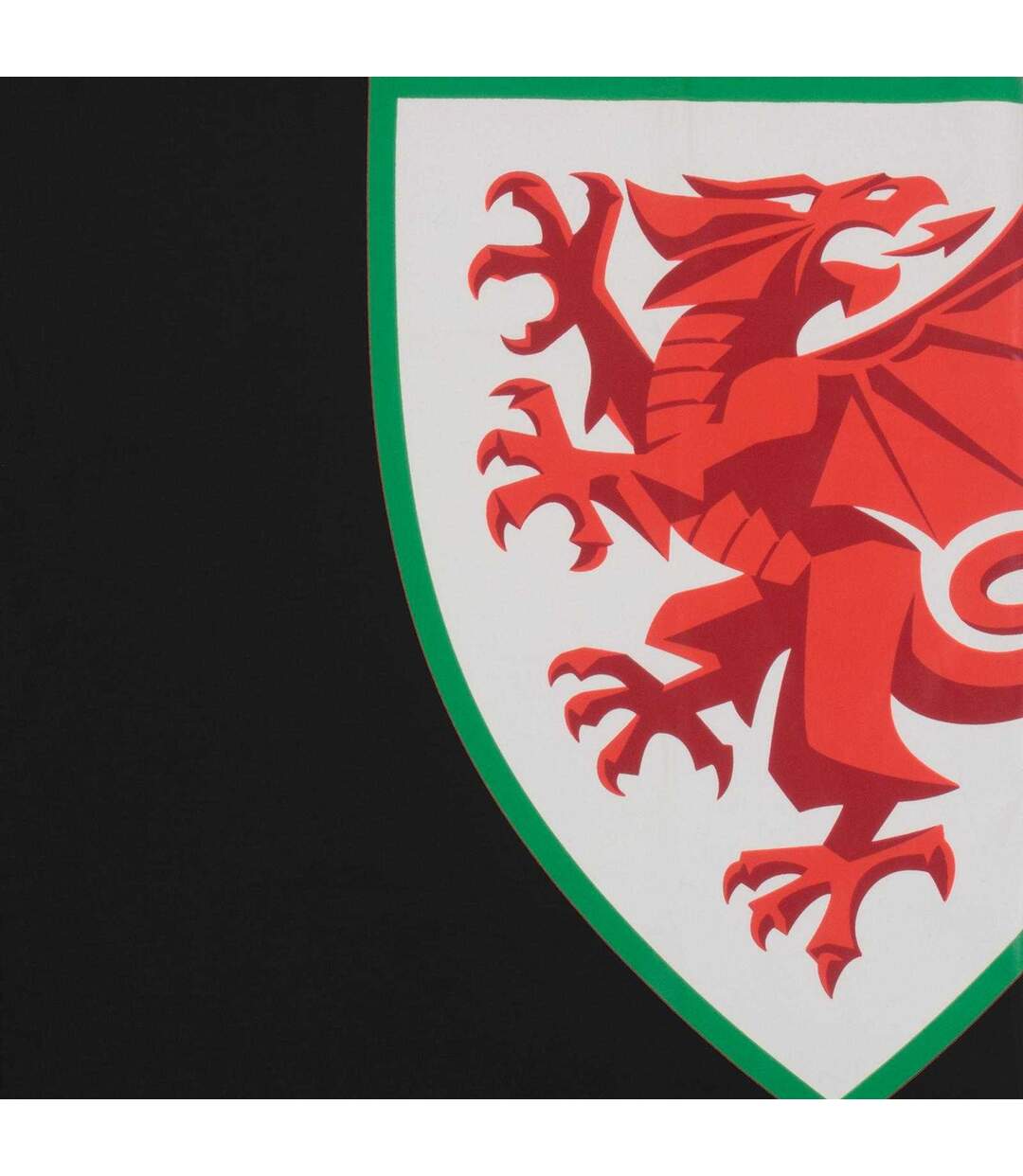 Mens Graphic T-shirt Black FA Wales-4