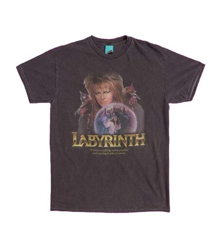 T-shirt Motif Jareth Le Roi Des Gobelins Motif/style Boule De Cristal Adulte Noir Charbon Labyrinth