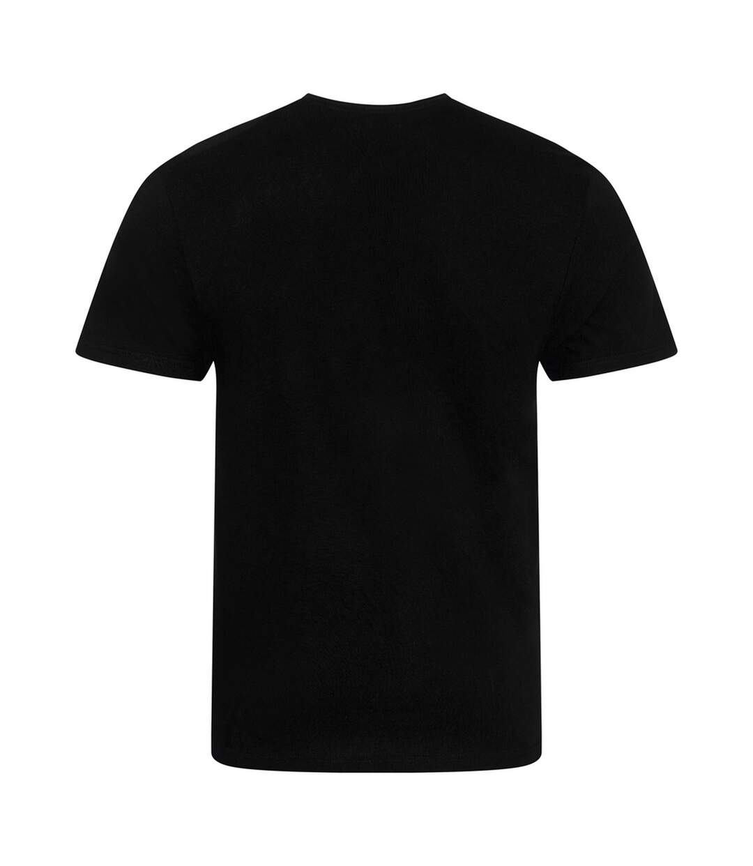 T-shirt Cascades Adulte Noir Vif Ecologie-2