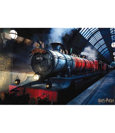 Harry Potter - Poster (Multicolore) (Taille unique) - UTTA358