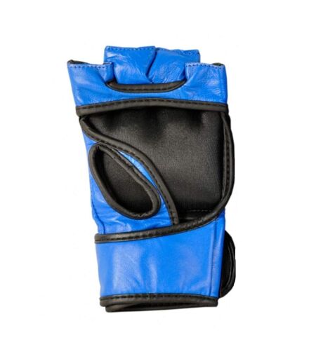 Gants D´entraînement De Boxe Mma Bleu Masters