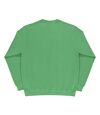 SG - Sweatshirt - Homme (Vert) - UTBC1066