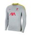Haut D´entraînement Motif/style Liverpool Fc Strike 2024/2025 Femme Gris Nike-2