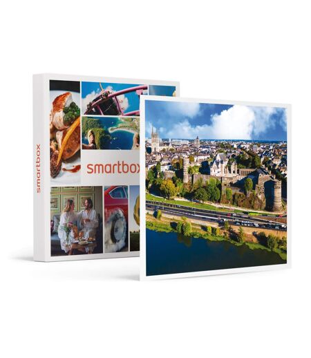 Vol sensationnel d'1h en ULM au-dessus des paysages d'Angers pour 2 - SMARTBOX - Coffret Cadeau Sport & Aventure