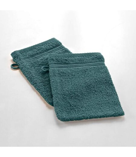 Lot de 2 Gants de Toilette Tendresse 15x21cm Orage