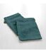 Lot de 2 Gants de Toilette Tendresse 15x21cm Orage-2