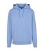 Sweat À Capuche Hommes Bleu Poudré Build Your Brand-1