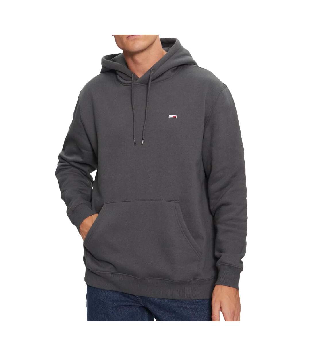 Sweat à Capuche Gris Homme Tommy Hilfiger Flag Hoodi - L-1