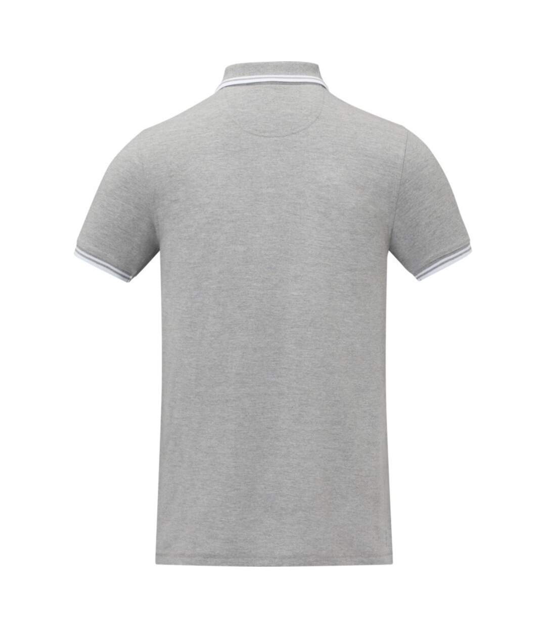 Polo amarago homme gris chiné Elevate Elevate