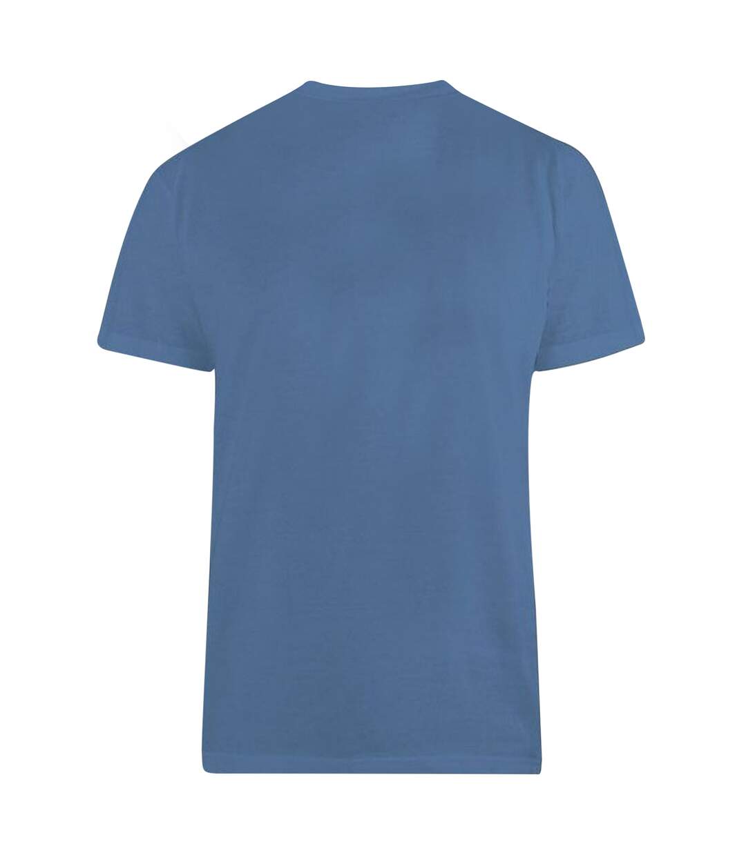 Duke - T-shirt FLYERS - Homme (Grande taille) (Bleu sarcelle) - UTDC170