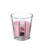 Bougie Parfumée en Verre Nina 90g Rose-1