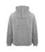 Sweat À Capuche Homme Gris MKI MIYUKI ZOKU-3