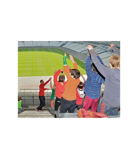 Visite des coulisses du Stade de France en famille pour 2 adultes et 2 enfants - SMARTBOX - Coffret Cadeau Sport & Aventure
