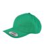 Casquette baseball adulte unisexe vert irlandais Nutshell