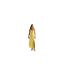 Womens/ladies Satin Maxi Dress Lemon Never Fully Dressed-1