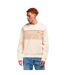 Sweat Motif/style Blocs De Couleurs Homme Beige Lacoste-4