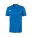 Maillot Teamgoal Homme Bleu Puma-1