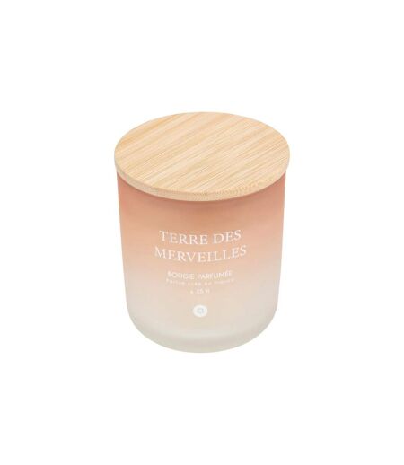 Bougie Parfumée en Verre Sana 255g Terre des Merveilles