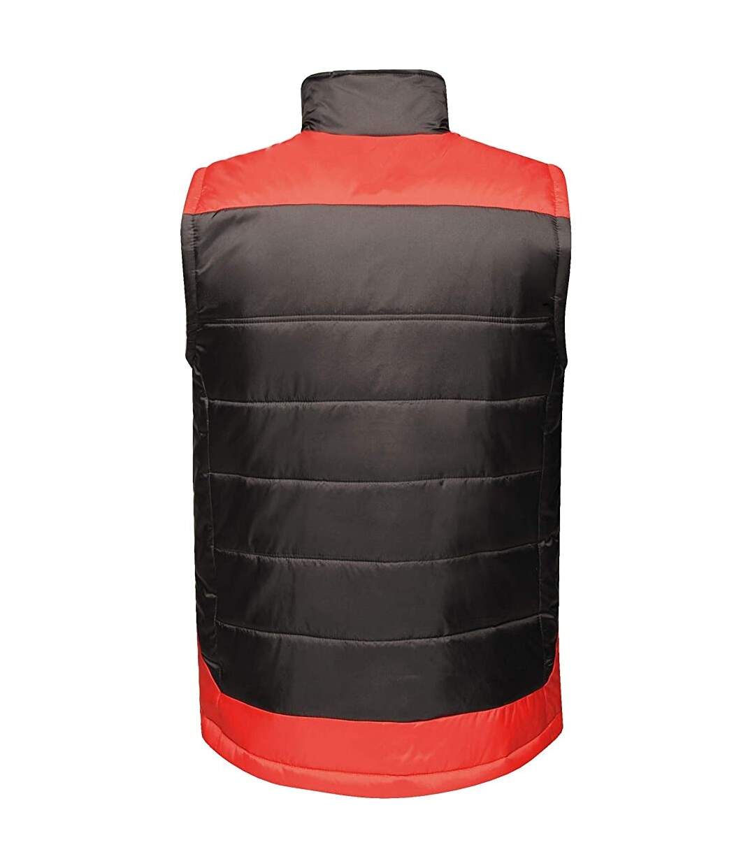 Regatta - Gilet UPROAR - Homme (Noir / rouge) - UTRG4097
