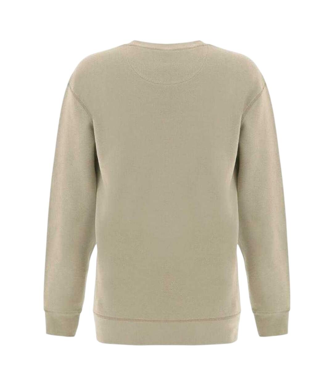 Mens Crew Neck Regular Sweater Top Pastel Mint Firetrap-2