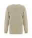 Mens Crew Neck Regular Sweater Top Pastel Mint Firetrap-2