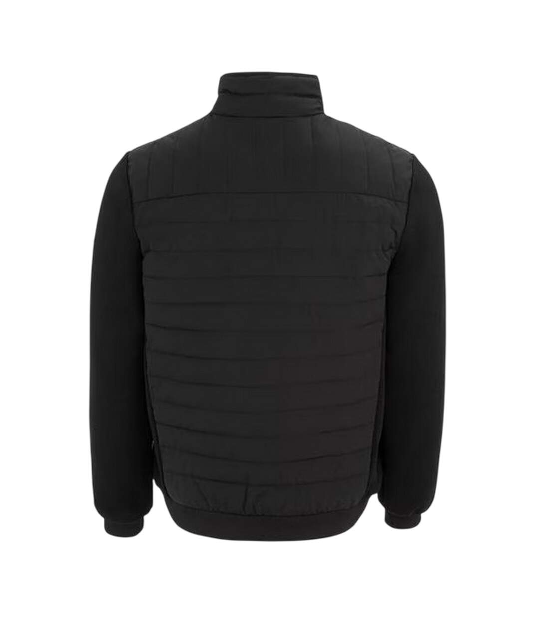 Veste Hybride Homme Noir Dunlop-2