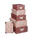 Lot de 6 Boîtes de Rangement Délicatesse 48cm Rose-1