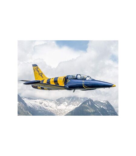 Vol spectaculaire de 25 minutes dans un avion de chasse L-39 Albatros en Lettonie - SMARTBOX - Coffret Cadeau Sport & Aventure