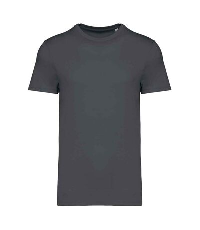 Native Spirit Unisex Adult Heavyweight Slim T-Shirt (Iron Grey) - UTPC5314