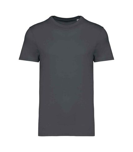 Native Spirit Unisex Adult Heavyweight Slim T-Shirt (Iron Grey) - UTPC5314