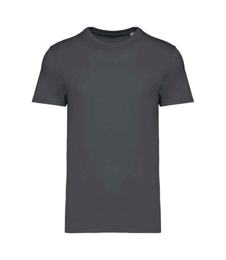 Native Spirit Unisex Adult Heavyweight Slim T-Shirt (Iron Grey) - UTPC5314