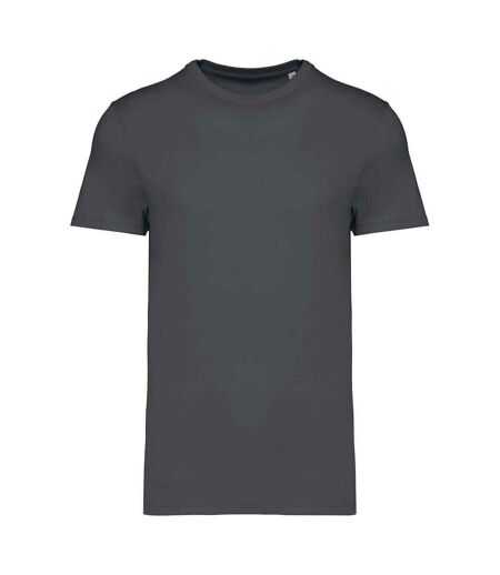 Unisex adult heavyweight slim t-shirt iron grey Native Spirit