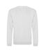 Sweatshirt unisexe cendre Awdis