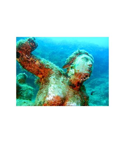 6h d’aventure sous-marine : baptême de plongée et randonnée palmée autonome à Fréjus - SMARTBOX - Coffret Cadeau Sport & Aventure