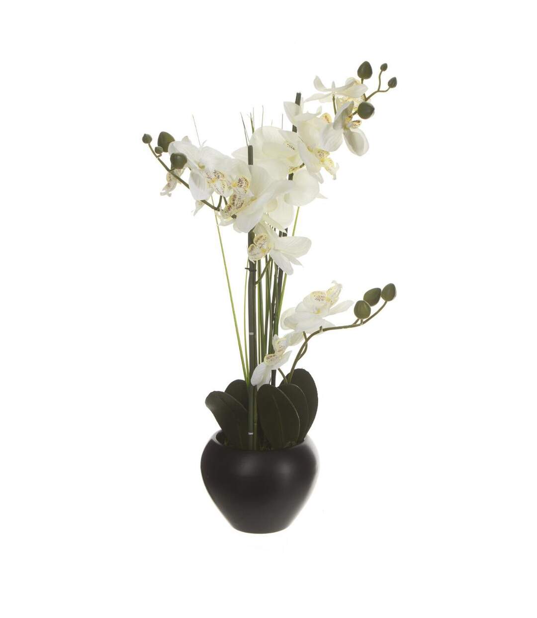 Composition Florale & Vase Orchidée 53cm Noir-1