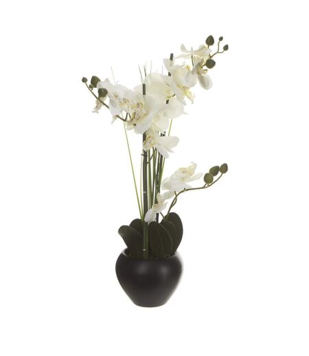 Composition Florale & Vase Orchidée 53cm Noir