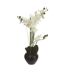 Composition Florale & Vase Orchidée 53cm Noir-1