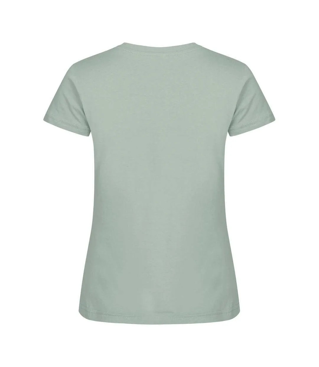 Womens/ladies Basic T-shirt Sage Green Clique-2