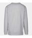 Build Your Brand Mens Long Sleeve Sweater (White)