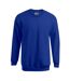 Sweat New Homme Bleu Roi Promodoro-1